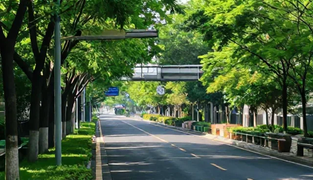 采购对接增值服务如何提升展示板块效率